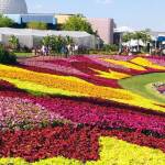 نمایشگاه‌های برتر بین‌المللی گل و گیاه